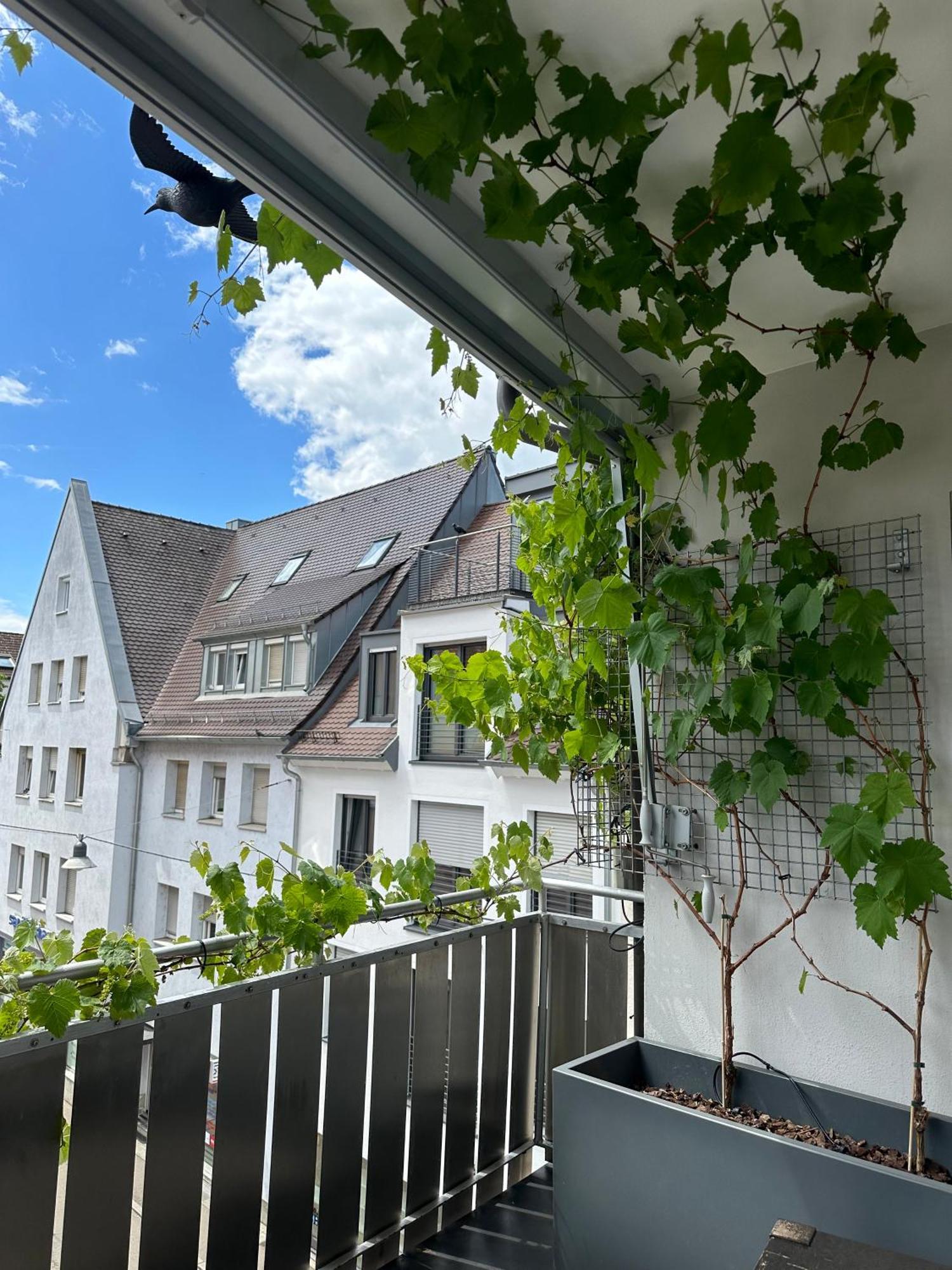 Apartment11 乌尔姆 外观 照片